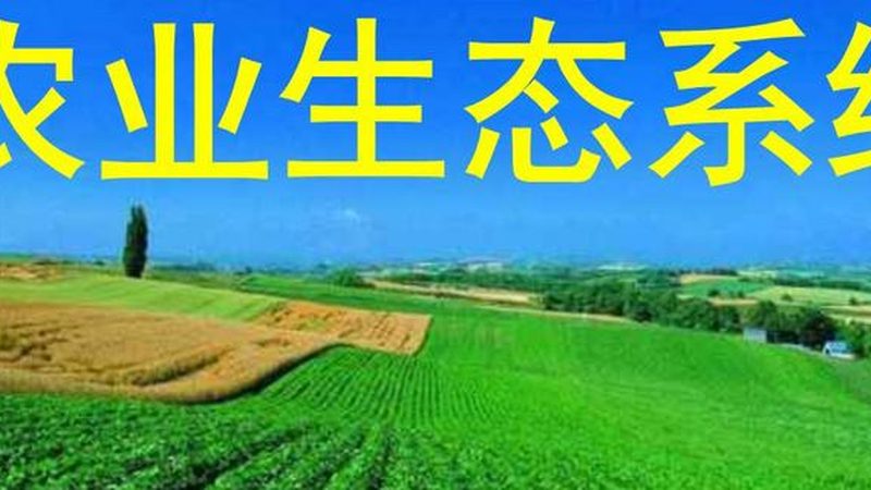 大棚种植项目投资回报率：揭秘高效农业的盈利密码**