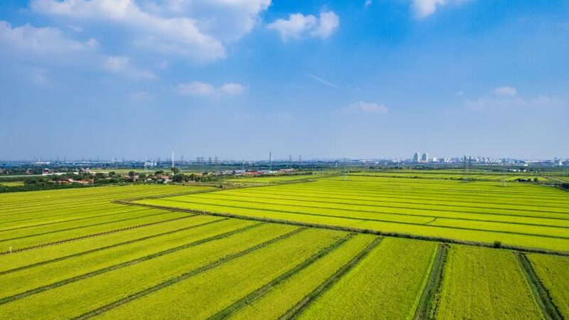 农场亲子户外拓展教练团队：如何打造高效互动体验**