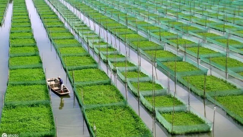 温室智能控制设备：揭秘十大品牌背后的科技力量**