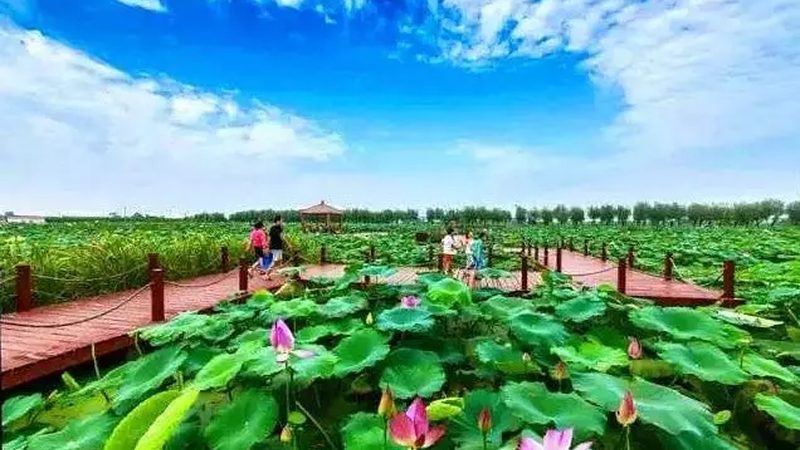 智慧农业种植系统：参数配置的关键要素