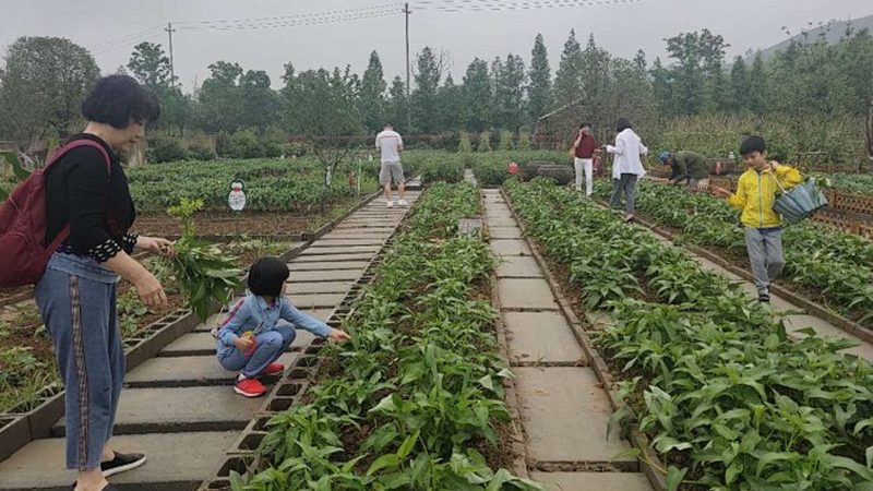 农资批发市场进货流程：揭秘高效采购之道