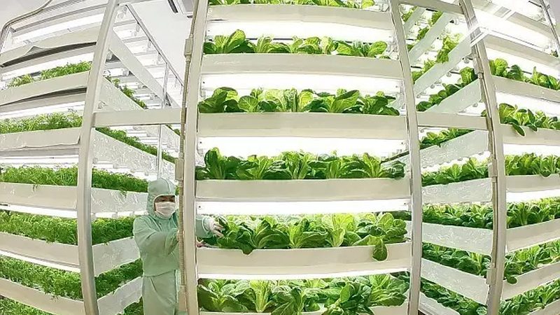 小型粮食种植机械化设备推荐