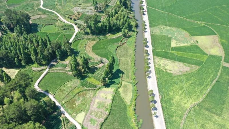 北京果蔬配送合同范本：构建稳定供应链的关键要素