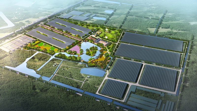 合作社内部管理岗位职责分工：构建高效团队的关键