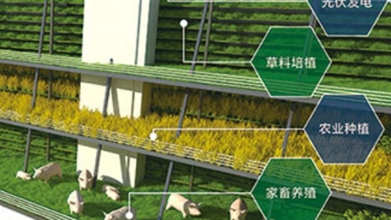 农产品批发市场商户入驻指南：流程解析与注意事项**