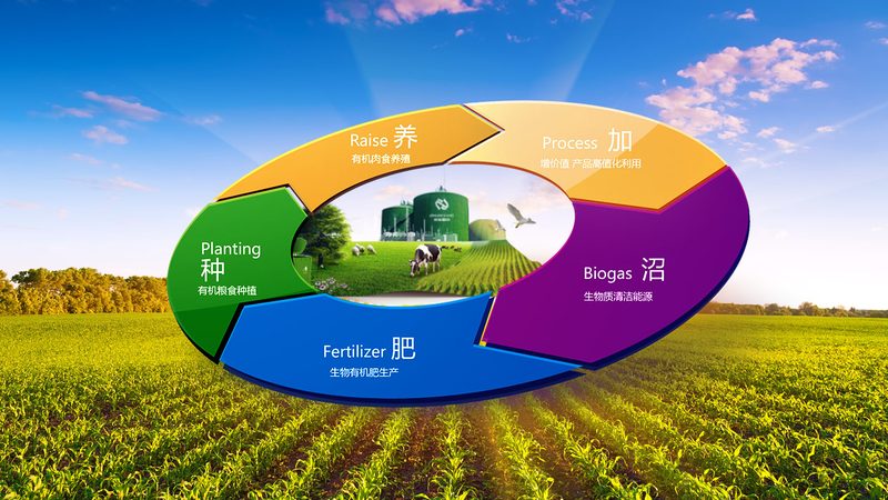 生鲜保温箱规格型号大全：揭秘冷链物流的“保鲜利器