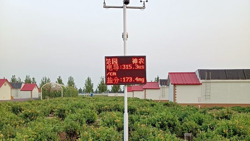 成都农产品批发市场采购流程揭秘：从源头把控品质