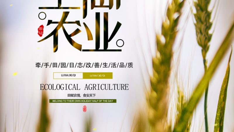 智慧农业种植系统：如何选择最适合你的解决方案